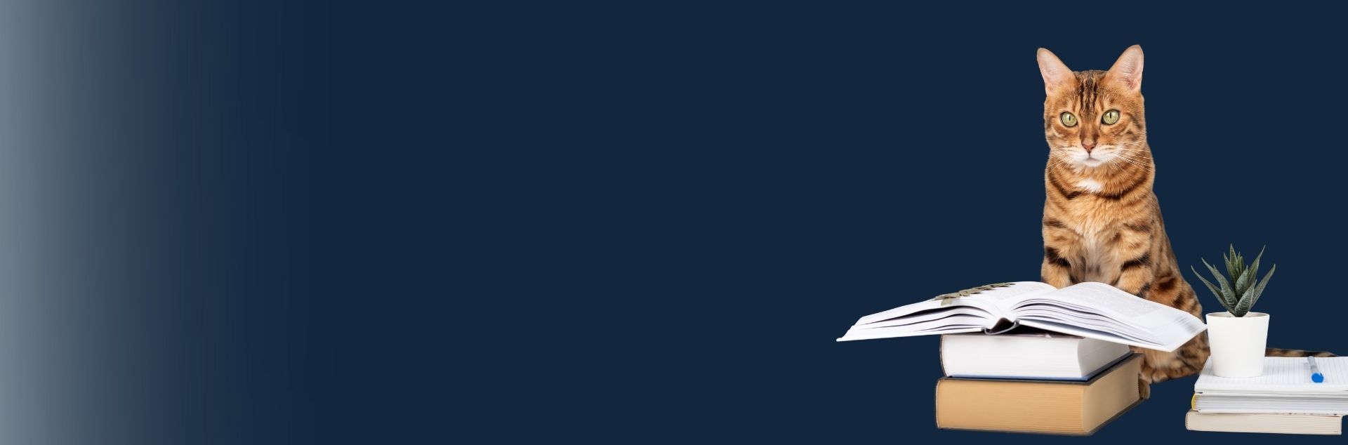 Registracija į „Kursuok“ mokymus