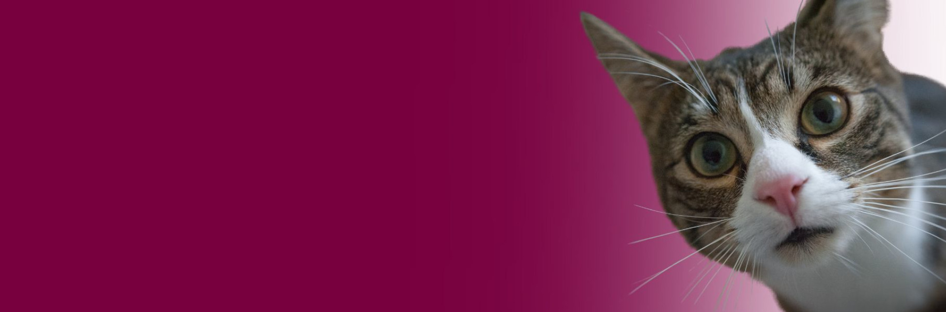 Egzaminų tvarkaraštis